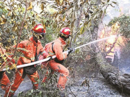 深圳森林消防队伍驰援佛山森林火灾救援凯旋