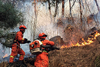 北京市密云区发生森林火灾应急管理部紧急部署扑灭工作