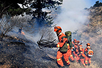 山西沁源“3·29”森林火灾蔓延势头初步得到遏制
