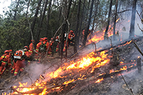 四川凉山州三地发生森林火灾 扑救工作正在进行中