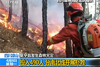 四川凉山：冕宁县发生森林火灾——投入490人 分南北线开展扑救