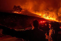 美国加州野火肆虐又陷红色火海 一夜之间蔓延近万英亩
