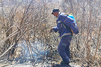 北京山火6名涉案者被抓 有村民称数百棵果树被烧
