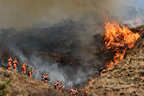 山西沁源森林火灾疏散3800人