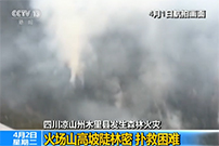 四川凉山州木里县发生森林火灾：着火点在海拔3800米 地形复杂
