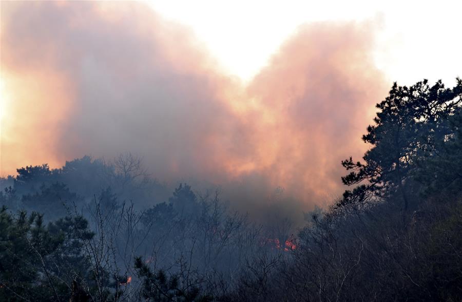 （新华网）（2）北京密云发生森林火灾 应急管理部紧急部署扑灭工作