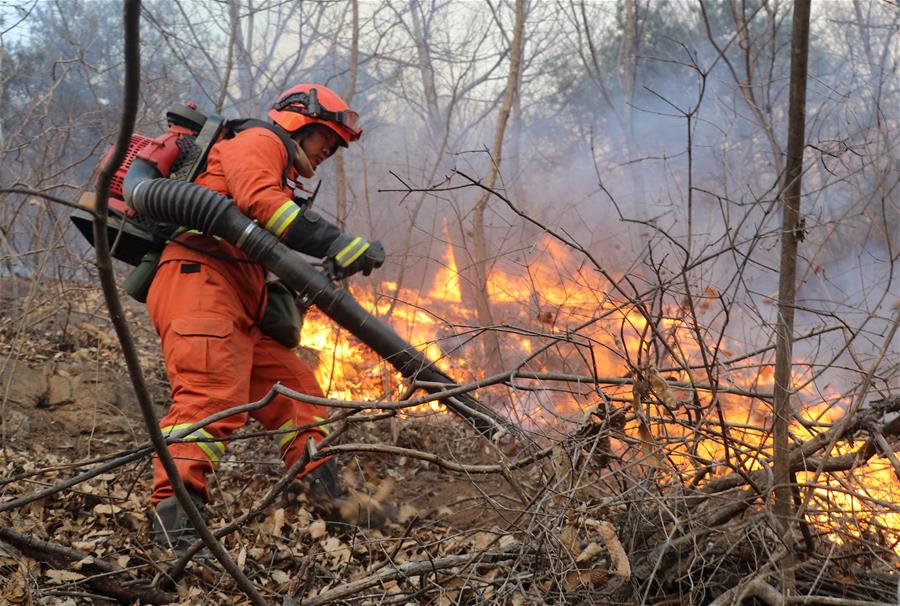 （新华网）（1）北京密云发生森林火灾 应急管理部紧急部署扑灭工作