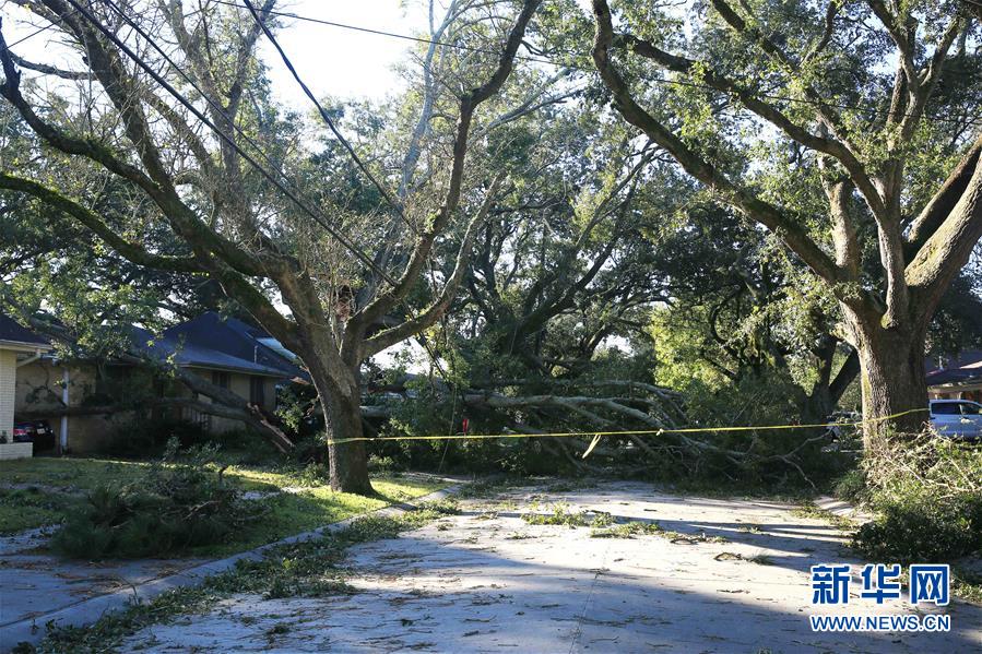 （国际）（5）飓风“泽塔”登陆美国南部至少6人死亡