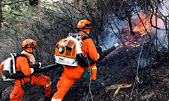 400名吉林省森林消防总队指战员奋战山西榆社山火扑救一线