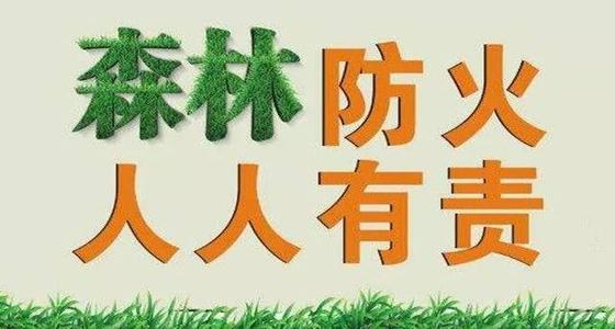 四川省将公职人员带头落实森林草原防灭火情况纳入综合考评