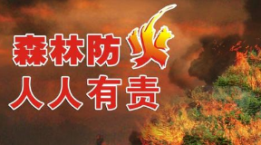 吉林省人民政府发布森林防火命令