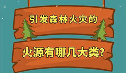 引发森林火灾的火源有哪几大类？
