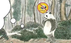 听四川大熊猫跟你“摆”森林防火
