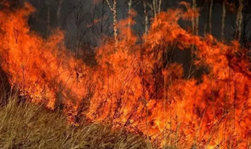 防患于未“燃”，这三起森林火灾警示案例，引以为戒！