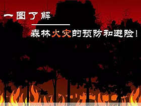 一图了解森林火灾的预防和避险