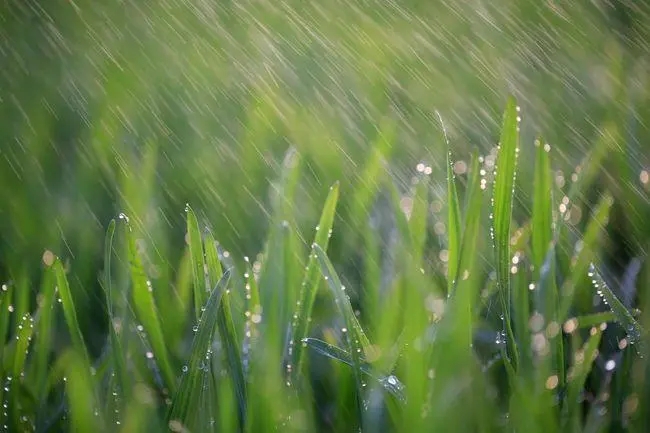 北方雨水添清凉 华南多地高温持续