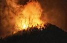 江西景德镇发生森林火灾 280余人实施扑救