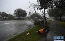 飓风“弗洛伦斯”已致美国49人死亡