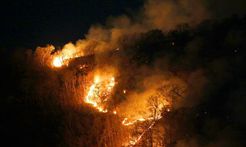 亚马孙雨林大火引发思考 如何科学处理森林大火