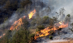 森林火险气象等级预报(20200322)