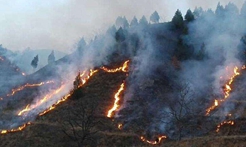 高森林火险天气警报(2020年第66期)
