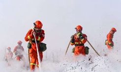 甘肃省六条硬核措施保障森林草原防火关键期安全
