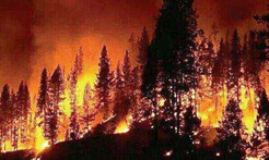 高森林火险天气警报(2020年第69期)