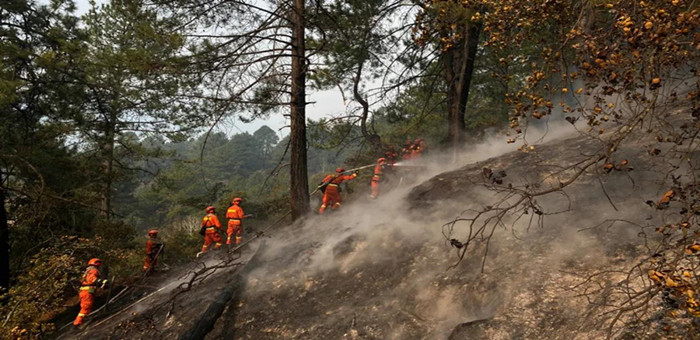 西藏自治区消防救援队伍紧急驰援林芝市巴宜区森林火灾
