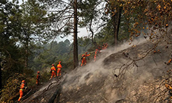 三千多人参与西藏林芝市森林火灾救援 火情得到有效控制