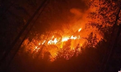 福建省三明泉州交界处发生森林火灾 明火已全部扑灭