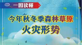 一图读懂丨庞巴迪在华首个自有公务机服务中心在天津投产