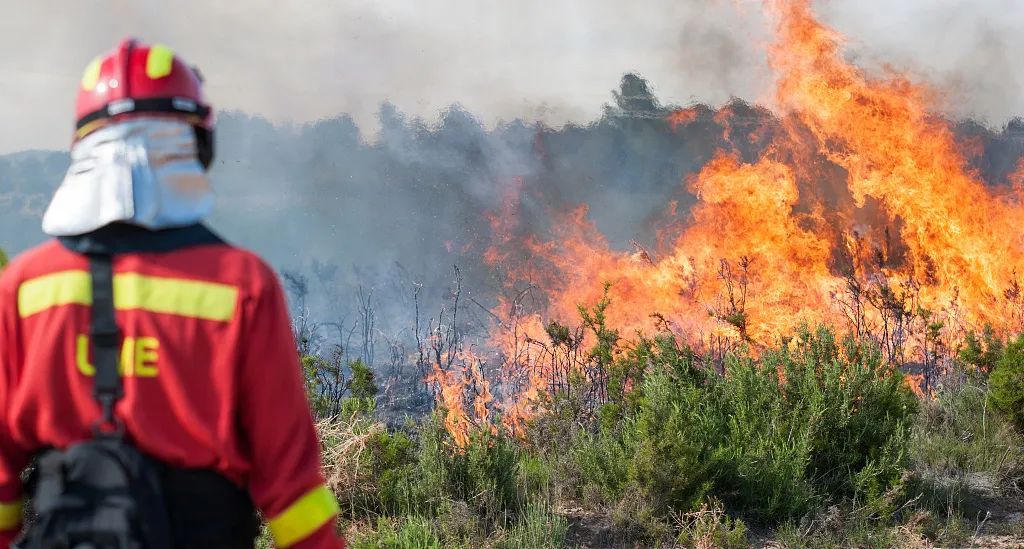 中国之声 | 森林草原火灾防控进入紧要期，如何实现防患于未“燃”？