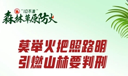 森林草原防火“10不准”