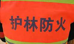 天津市森林防灭火指挥部办公室发布森林火险橙色预警