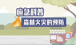 视频：森林火灾的预防