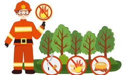 如何看懂森林火险预报？这些知识要学会